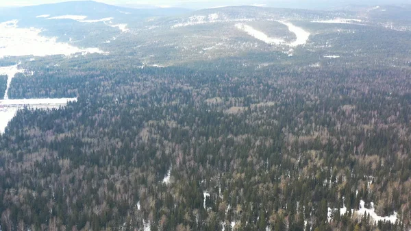 Vue aérienne du paysage hivernal avec des arbres enneigés. Des images. Vue de dessus des couronnes d'arbres enneigés sans fin dans la forêt d'hiver, beauté de la nature . — Photo