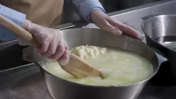 Närbild för händerna i matlagning handskar förbereder mozzarella ost, matkoncept. Ram. Arbetare från ostfabriken som producerar mozzarella. — Stockvideo