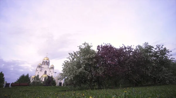 アップルの木と緑の草原、宗教の概念を開花に囲まれた正教会のドーム。ストック映像。咲く木々と教会の美しい春の風景. — ストック写真