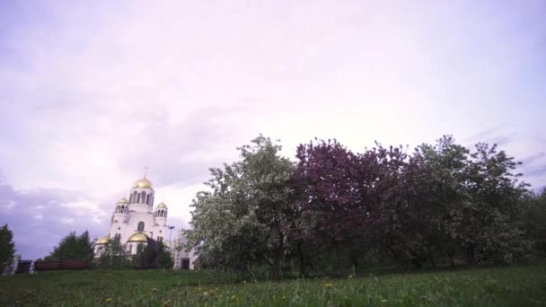 东正教教堂的圆顶环绕着盛开的苹果树和绿色的草地，宗教概念。库存素材。美丽的春天景观与盛开的树木和教堂. — 图库视频影像