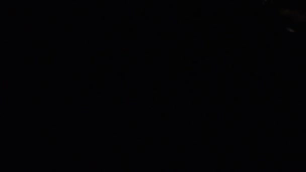 Vista close-up de bolhas de sabão bonitos flutuando sobre o fundo preto e brilhando no escuro. Imagens de stock. Isolado em preto — Vídeo de Stock