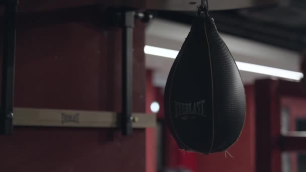 Маленькая черная кожаная боксерская груша для тренировки боксеров, свисающая с потолка в спортзале. Запись. Пневматическая боксерская груша, боксерское оборудование, спортивная концепция . — стоковое видео