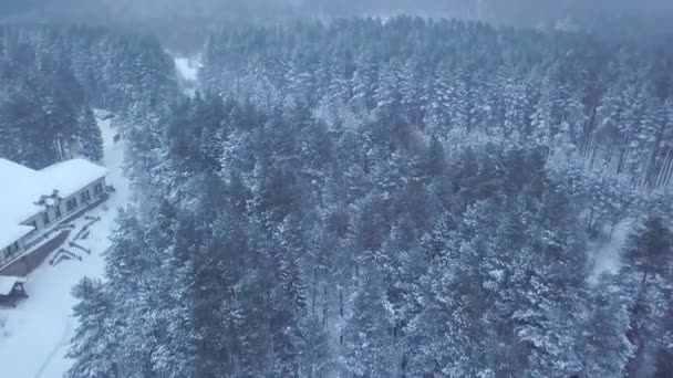 Widok z góry na Hotel w lesie zimą. Klip. Śnieżna ścieżka wzdłuż hotelu wieczorem — Wideo stockowe