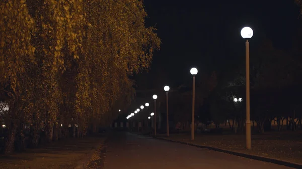 Порожня вулиця вночі у світлі вуличної лампи. Стокові кадри. Вуличні ліхтарі освітлюють дерева і тротуари . — стокове фото