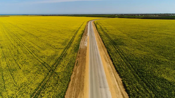 青空の背景に黄色のフィールド間のアスファルト道路のための空中。ショット。菜種の花を持つ道路や牧草地と見事な田園風景. — ストック写真