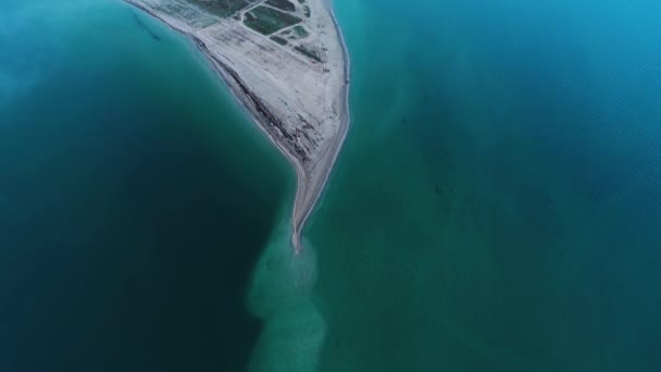 Aerial view of bright turquoise water and wild beach. Shot. Top view of the sandy sea coast and green meadow in a sunny day. — Stock Video