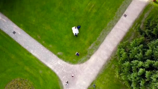 Vue de dessus des mariés marchant sur la pelouse verte. L'action. Promenade de mariage sur la pelouse verte d'été avant la cérémonie des jeunes mariés. Concept de mariage 