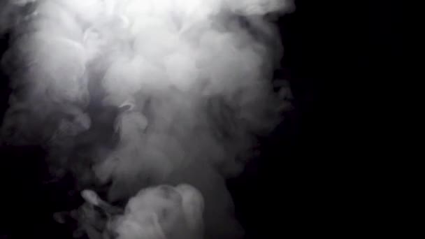 Jets de humo blanco sobre fondo negro. Acción. Nube de humo blanco se eleva sobre fondo negro y se evapora — Vídeo de stock