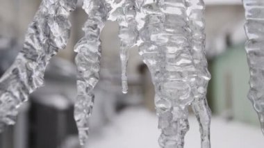 Kış arka planda kristal dokuya sahip buz sarkıtları için kapatın. Stok görüntüleri. Erime işlemi sırasında berrak sarkıtlardan düşen su damlaları.