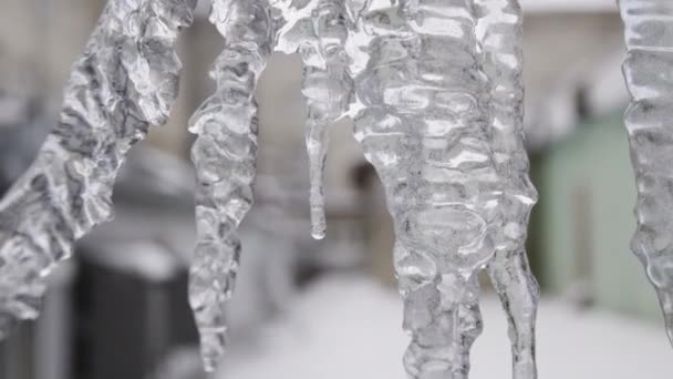 Close-up voor ijspegels met kristallen textuur op Winter achtergrond. Stock footage. Water druppels vallen uit heldere stalactieten tijdens het smeltproces. — Stockvideo