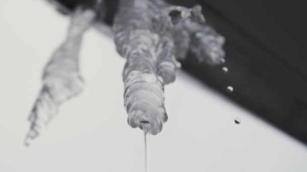 Bottom view of melting icicle hanging from the roof in spring time. Stock footage. Water dripping from an icicle on grey sky background. — Stock Video