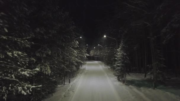 V zimním období se v zimě v lese na sněžných borovicích nachází vzdušné silnice. Klip. Prázdná noční cesta se světly v zasněženém chladném počasí.