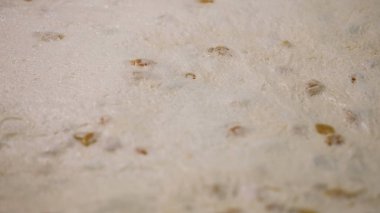 Pişirme, lezzetli gıda konsepti için hazır küçük kuru üzüm ile çiğ hamur için kapatın. Stok görüntüleri. Fırında masada yatan çiğ pasta.