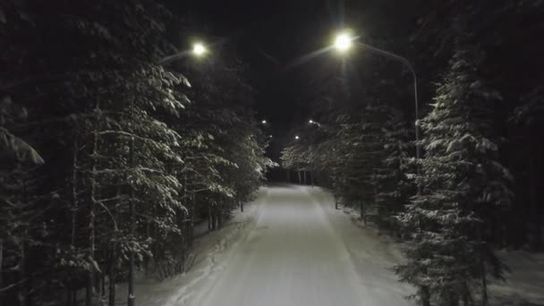 Antena na śnieżną drogę w nocy w lesie sosny w sezonie zimowym. Klip. Pusta nocna droga z słupami świetlnymi w śnieżnej zimnej pogodzie. — Wideo stockowe