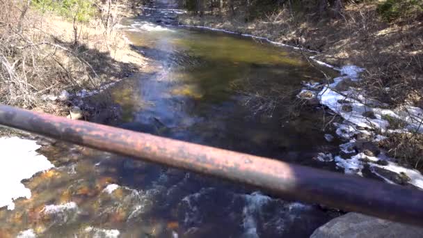 Schöne Frühlingslandschaft mit Wald, Fluss und Steinen, wilde Natur. Medien. Fließender klarer Fluss im Wald an einem sonnigen Tag, Blick von der Brücke. — Stockvideo