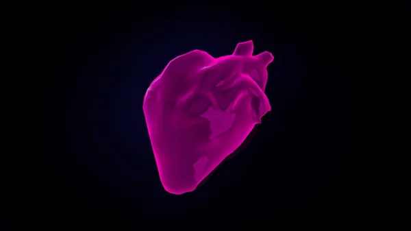 色彩斑斓的抽象3D模型在黑暗的背景下跳动着人类的心脏。 动画。 人体解剖学 — 图库照片