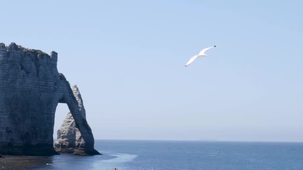 Gabbiano bianco vola sullo sfondo del mare blu con costa rocciosa. Azione. Volo di gabbiano bianco in cielo limpido sullo sfondo del paesaggio marino con rocce è affascinante con la sua bellezza e libertà — Video Stock