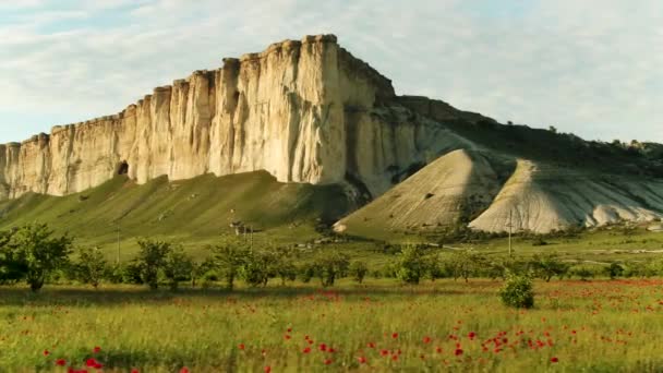 Vedere laterală a pajiștilor verzi cu multe flori roșii în fața muntelui înalt. Împuşcat. Câmp de mac uimitor lângă stânca albă pe fundalul noros al cerului . — Videoclip de stoc