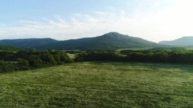 Arka planda fantastik dağlar ile yeşil çim alanları peyzaj. Atış. Yeşil çayırlar, çalılar ve parlak gökyüzü ile ağaçlar, doğanın güzelliği ile asfalt yol.