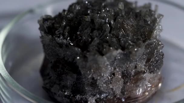 Beautiful unusual gray-black crystal stone cassiterite with a metallic sheen standing in the glass stand. Stock footage. Close up for shining crystal standing on the table. — Stock Video