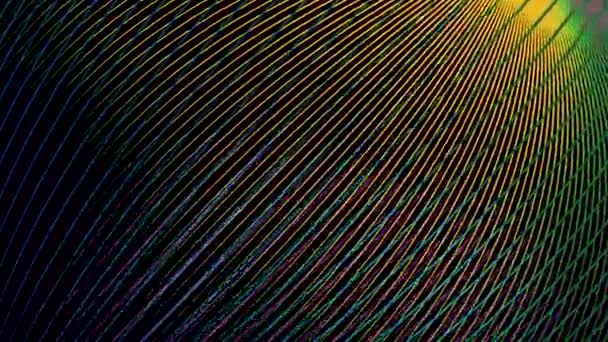 Abstract colorful background with gradient narrow lines, seamless loop. Animation. Crossed bright stripes of blue, yellow, and pink colors. — Stock Video