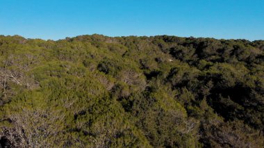 Bir yaz güneşli bir gün çöl ve yeşil çalılar için hava. Madde. Mavi gökyüzü arka planda kumlu zemin üzerinde çalılar ve ağaçlar üzerinde uçan.