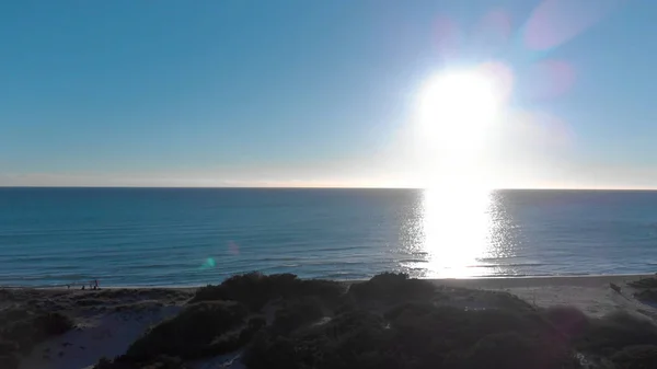 Hermosa naturaleza de Nueva Zelanda, mar, campos verdes, prados, colinas y personas en la orilla. Art. Puesta de sol brillante sobre los prados con arbustos sobre fondo azul del cielo, antena . —  Fotos de Stock