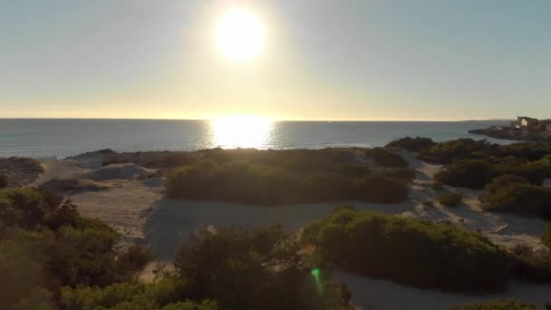 Aérea para una hermosa puesta de sol sobre el mar, vista desde la orilla con muchos arbustos verdes. Art. Paisaje marino nocturno y el sol poniéndose en el horizonte y el campo verde . — Vídeos de Stock