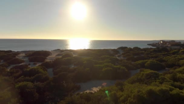 Antenne für einen schönen Sonnenuntergang über dem Meer, Blick vom Ufer mit vielen grünen Büschen. Kunst. Abendliche Meereslandschaft und die bis zum Horizont untergehende Sonne und grüne Wiese. — Stockvideo