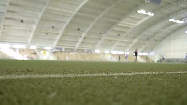 Úzká zahrádce na stadionu s výcvikem sportovců. Akce. Krytý stadion se zelenou trávou a hráči trénování na pozadí — Stock video