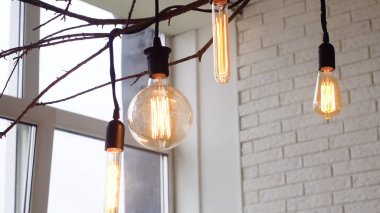 Edison ışıklar asılı, aydınlatılmış. Medya. Beyaz tuğla duvar arka planda pencerenin iç dalları asılı Vintage ampuller