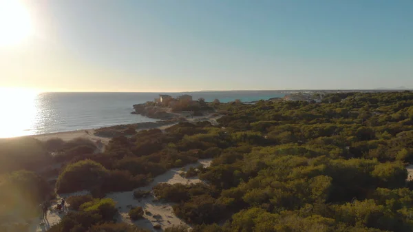 Bushy Beach på bakgrund av havet och blå himmel. Artikel. Toppen utsikt över vackra stranden med gröna buskar och lugna havet reflekterande Sol — Stockfoto