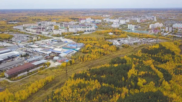 Aerial top view of beautiful autumn trees and the industrial area of the city with buildings. Clip. Many moving cars on the roads of a city surrounded by yellow trees.