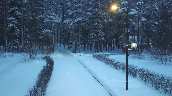 Straatlamp verlichting van de weg naar winterpark, bedekt met sneeuw. Een knip. Prachtig uitzicht op bomen, pad en huisje tussen de dennen in de sneeuw — Stockfoto
