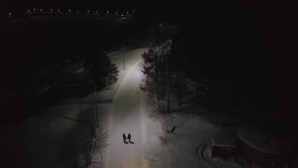 Třída městského parku v noci v zimní mlze s lidmi, kteří chodí pěšky. Klip. Anténa pro noční krajinu v zimním městském parku a prázdná silnice osvětlená ve tmě. — Stock video