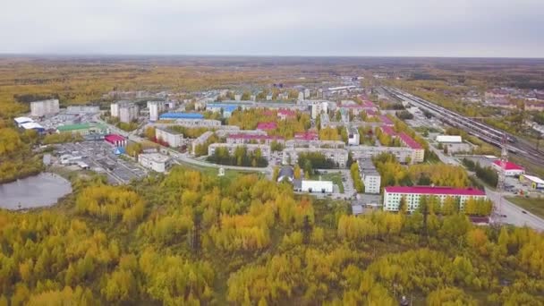 Luftaufnahme einer Stadt im Spätherbst mit grün und orange gefärbten Straßenbäumen. Clip. Schöne Landschaft mit heller Waldstadt mit Wohngebäuden und Industriegebiet. — Stockvideo