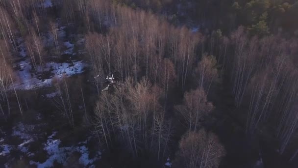Antenne voor quadrocopter vliegen boven de gele bomen in de late herfst met witte sneeuw op de grond. Clip. Prachtig landschap met herfst bos en drone die erboven vliegt. — Stockvideo