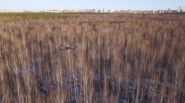 UAV unmanned aerial vehicle drone soaring in the sky above withered forest and city on the background. Clip. Heavy lift drone photographing city and trees.