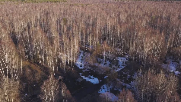 UAV unmanned aerial vehicle drone soaring in the sky above withered forest and city on the background. Clip. Heavy lift drone photographing city and trees.