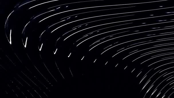Graphic monochrome background of flowing lines in dynamic waves motion, white on black. Animation. White narrow stripes of light bending, seamless loop. — Stock Video