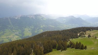 Bulutlu havalarda dağ vadilerinde iğne yapraklı ormanların en iyi görünümü. Eylem. Yaz aylarında yağmur bulutlarına dalmış dağ vadilerinin yeşil orman yamaçlarının pitoresk panoraması