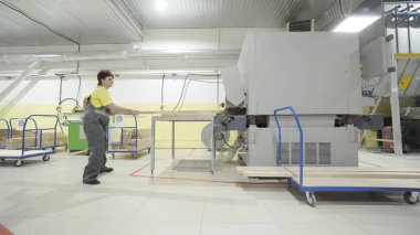 Kadın işçi tahta taşıyor. Eylem. Güçlü kadın ahşap işletme ahşap tahta taşır. Modern ekipman ve kalifiye uzmanlar ile iyi inşa ahşap işletme