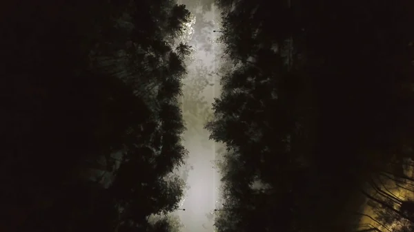 Vue de dessus de la route d'hiver dans la zone forestière la nuit. Clip. Route enneigée éclairée par des lanternes la nuit — Photo