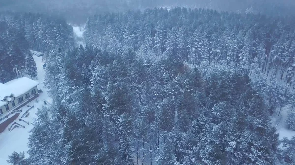 Top view of the hotel in the forest in winter. Clip. Snow-covered path along the hotel in the evening