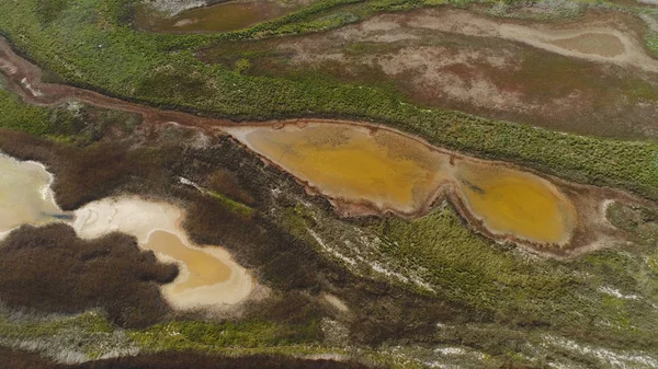 沼地からの模様入りの汚れた水の上の眺め。ショット。緑色の茂みを持つ酸性茶色の水は、上から流体アートのように見えます。地球表面の自然芸術 — ストック写真