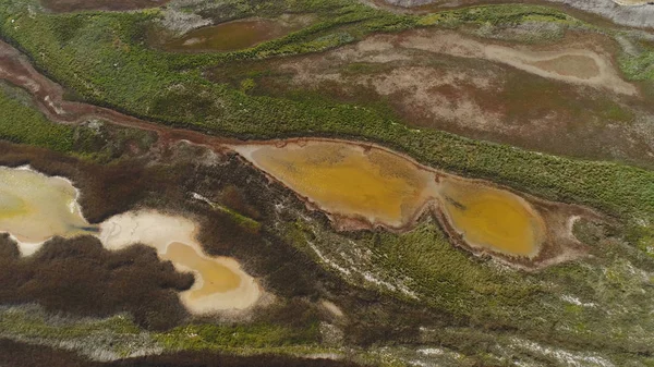 Topputsikt över mönstrat smutsigt vatten från träsk. Skott. Surt brunt vatten med gröna snår ser ut som flytande konst uppifrån. Naturlig konst av jordartsmetaller yta — Stockfoto