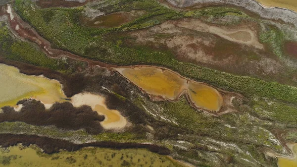 Κορυφαία θέα από βρώμικο νερό από βάλτο. Πυροβολισμό. Το οξύ καφέ νερό με τις πράσινες συστάδες μοιάζει με ρευστή τέχνη από πάνω. Φυσική τέχνη της γης επιφάνεια — Φωτογραφία Αρχείου
