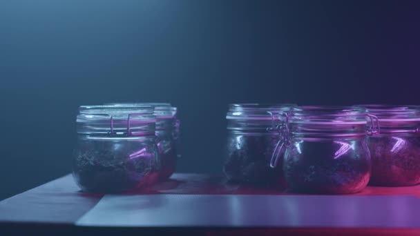 Five glass jars with different types of leaf tea standing on the table in dark room on black wall background. Action. Glass tanks with tea or spices under the dim light. — Stock Video