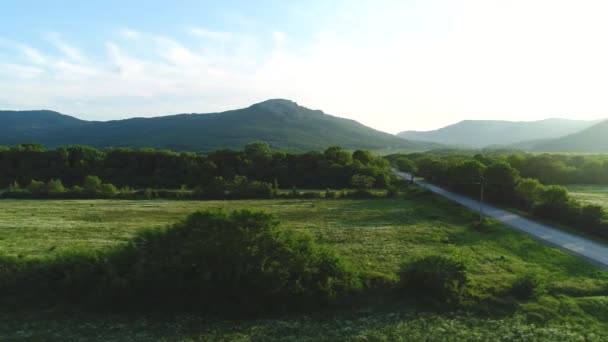 Vzdušný pohled na krásnou zelenou louku se stromy, venkovskou silnicí a horami v pozadí v létě proti modré oblačné obloze. Shot. Malebná letní krajina — Stock video