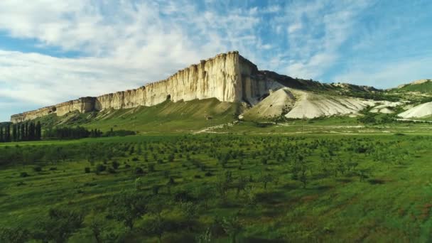 Pajiște pitorească cu copaci verzi și arbuști împotriva stâncii albe frumoase împotriva cerului albastru în ziua caldă de vară. Împuşcat. Minunat peisaj de vară — Videoclip de stoc